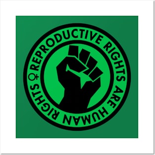 Reproductive Rights are Human Rights (green) Posters and Art